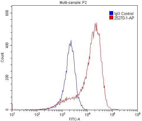 [25270-1-AP-150UL] TACR2 Polyclonal antibody