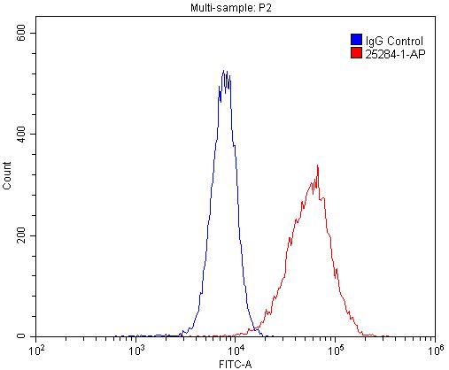 [25284-1-AP-150UL] CD38 Polyclonal antibody