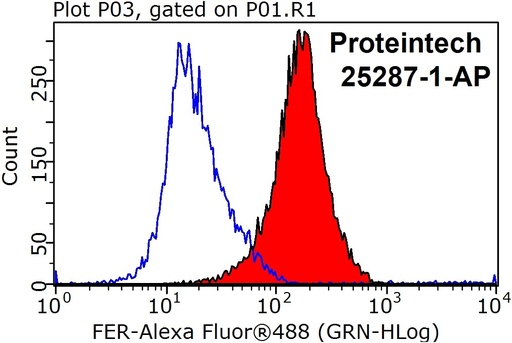 [25287-1-AP-20UL] FER Polyclonal antibody