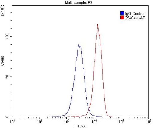 [25404-1-AP-150UL] CD209 Polyclonal antibody