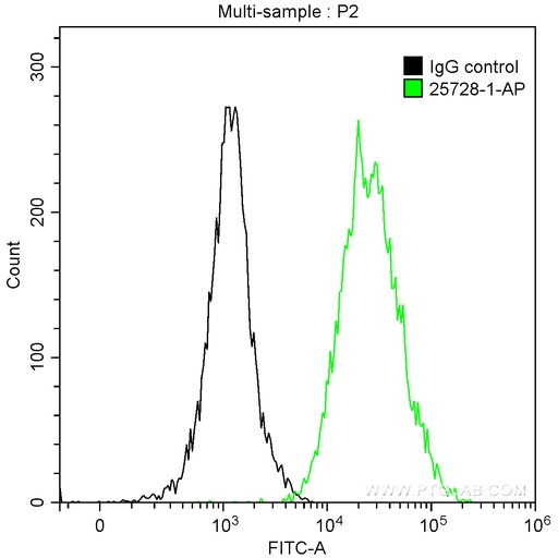 [25728-1-AP-150UL] HBG1 Polyclonal antibody