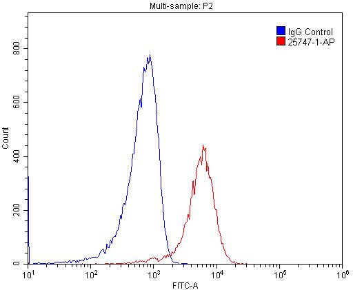 [25747-1-AP-150UL] CD68 Polyclonal antibody