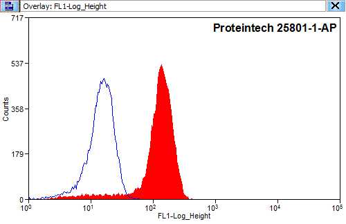 [25801-1-AP-150UL] HNF4G Polyclonal antibody