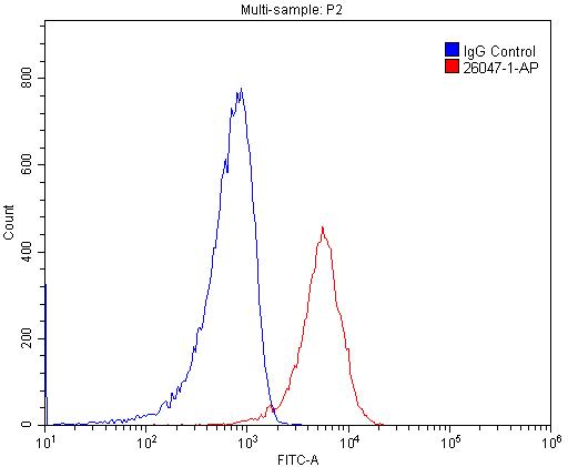 [26047-1-AP-20UL] IGSF2 Polyclonal antibody