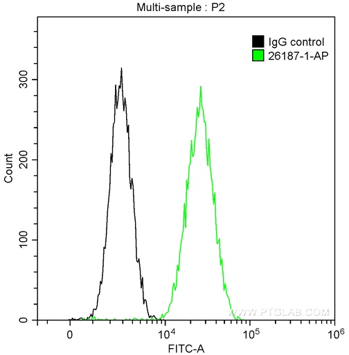 [26187-1-AP-20UL] DRP1 (N-terminal) Polyclonal antibody