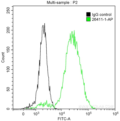 [26411-1-AP-150UL] pan-keratin Polyclonal antibody