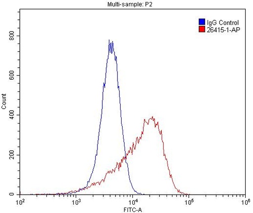 [26415-1-AP-20UL] VEGFR2 Polyclonal antibody