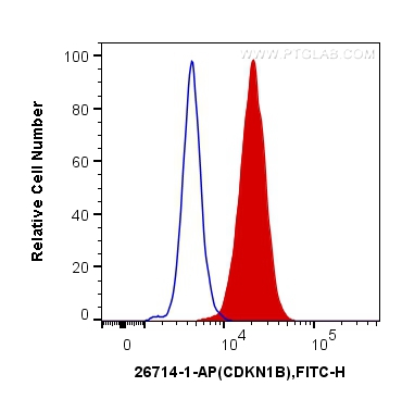 [26714-1-AP-150UL] P27; KIP1 Polyclonal antibody