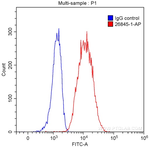 [26845-1-AP-150UL] TRAF1 Polyclonal antibody