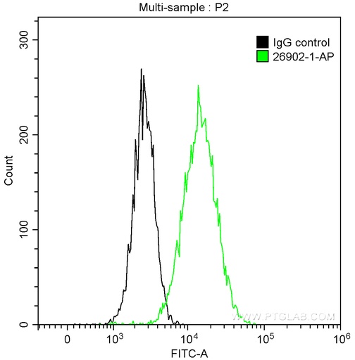 [26902-1-AP-20UL] NDRG1 Polyclonal antibody