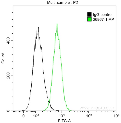 [26967-1-AP-150UL] Bcl-XL Polyclonal antibody