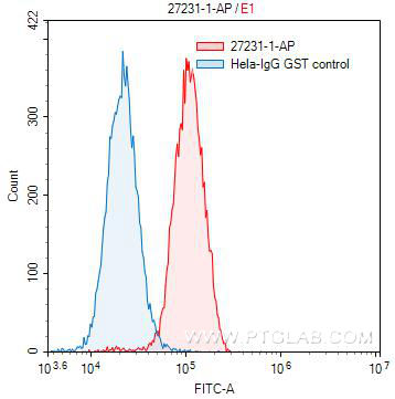 [27231-1-AP-150UL] ALMS1 Polyclonal antibody