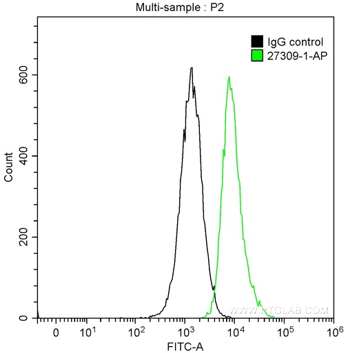 [27309-1-AP-20UL] KI67 Polyclonal antibody