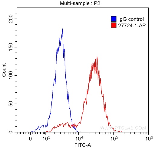 [27724-1-AP-20UL] TNFRSF17 Polyclonal antibody