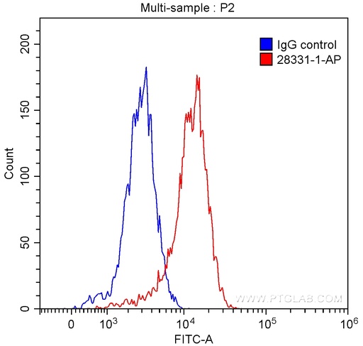 [28331-1-AP-20UL] IL-4R Polyclonal antibody
