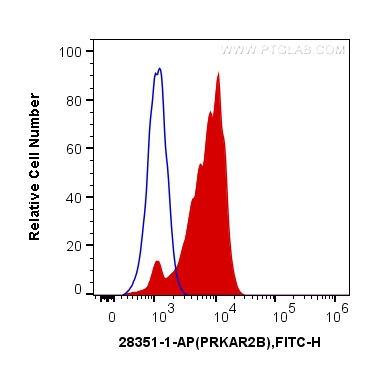 [28351-1-AP-20UL] PRKAR2B Polyclonal antibody