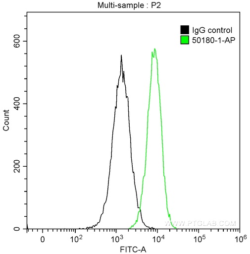 [50180-1-AP-150UL] BCL10 Polyclonal antibody