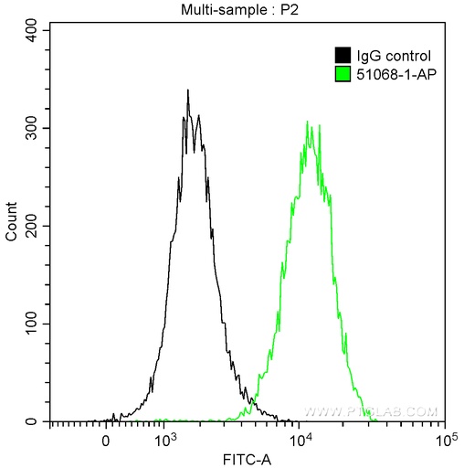 [51068-1-AP-20UL] ERK1/2 Polyclonal antibody