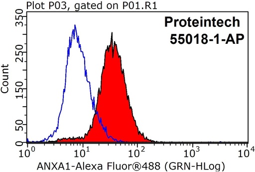 [55018-1-AP-20UL] Annexin A1 Polyclonal antibody