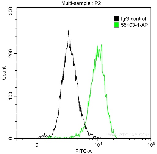 [55103-1-AP-150UL] CDK3 Polyclonal antibody