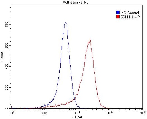 [55111-1-AP-150UL] TRPM1 Polyclonal antibody