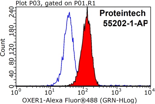 [55202-1-AP-20UL] OXER1 Polyclonal antibody