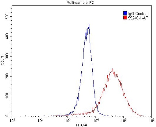[55248-1-AP-20UL] GPR35 Polyclonal antibody
