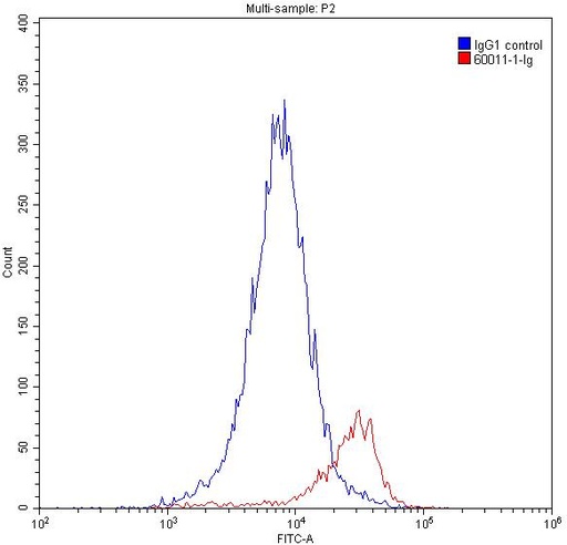 [60011-1-IG-150UL] GATA1 Monoclonal antibody