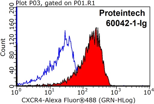 [60042-1-IG-20UL] CXCR4 Monoclonal antibody