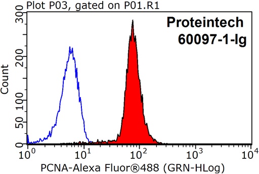 [60097-1-IG-150UL] PCNA Monoclonal antibody