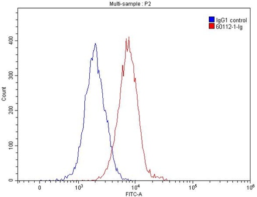 [60112-1-IG-150UL] ST2 Monoclonal antibody