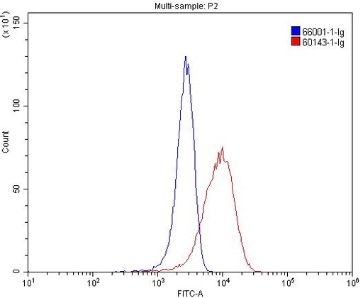 [60143-1-IG-150UL] CD206 Monoclonal antibody