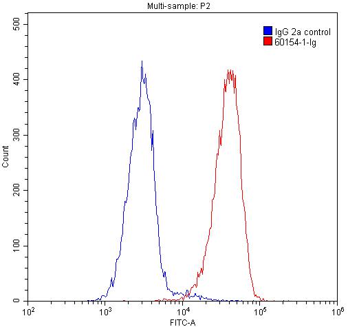 [60154-1-IG-150UL] SMN (Human-Specific) Monoclonal antibody