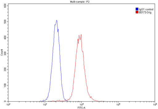 [60173-3-IG-20UL] CD1A Monoclonal antibody