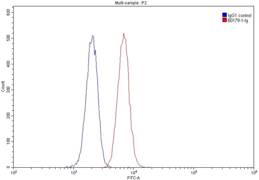 [60179-1-IG-150UL] CD109 Monoclonal antibody