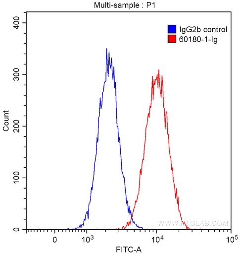 [60180-1-IG-20UL] CD34 Monoclonal antibody