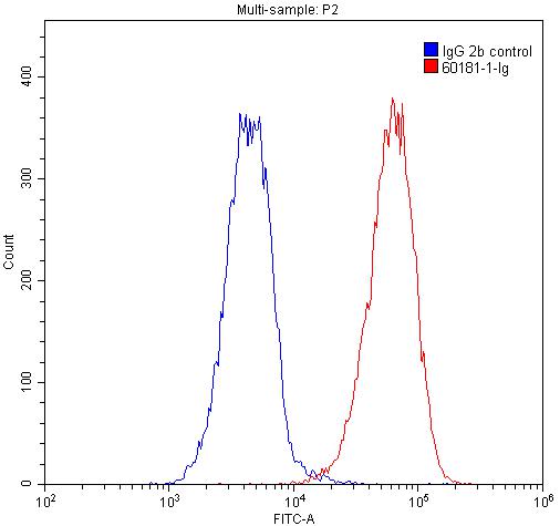 [60181-1-IG-20UL] CD3 Monoclonal antibody