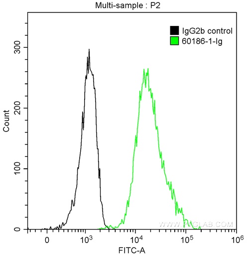 [60186-1-IG-20UL] Cyclin D1 Monoclonal antibody