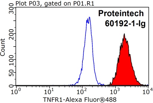 [60192-1-IG-20UL] TNFR1 Monoclonal antibody