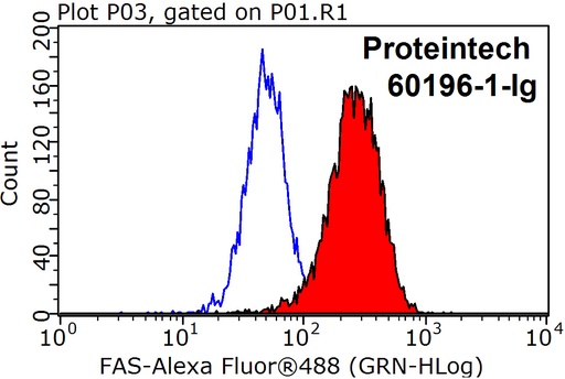 [60196-1-IG-150UL] FAS/CD95 Monoclonal antibody