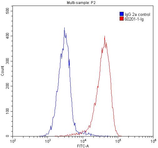 [60201-1-IG-150UL] UBC9 Monoclonal antibody