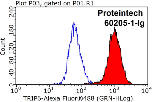[60205-1-IG-20UL] TRIP6 Monoclonal antibody