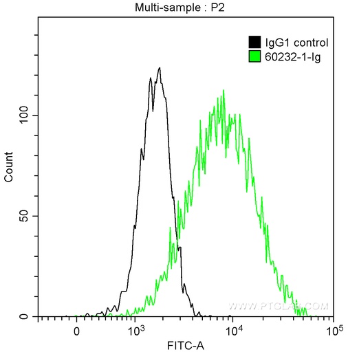 [60232-1-IG-150UL] CD9 Monoclonal antibody