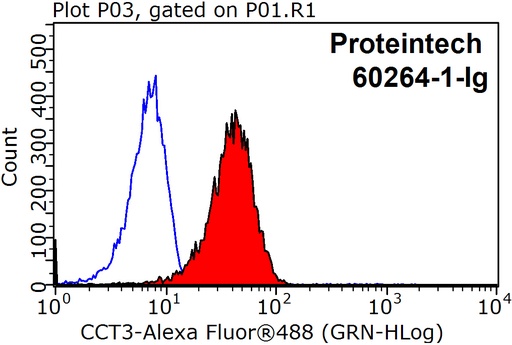 [60264-1-IG-20UL] CCT3 Monoclonal antibody