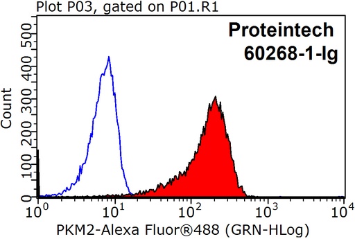 [60268-1-IG-20UL] PKM2-specific Monoclonal antibody