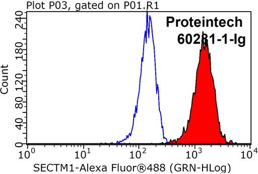 [60281-1-IG-150UL] SECTM1 Monoclonal antibody