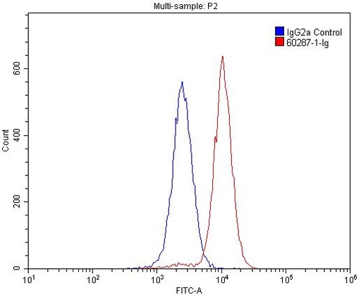 [60287-1-IG-150UL] CD45 Monoclonal antibody