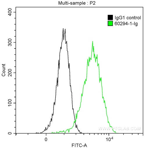 [60294-1-IG-150UL] PLAP Monoclonal antibody