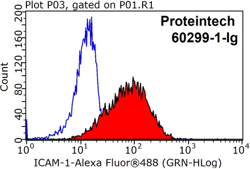 [60299-1-IG-150UL] ICAM-1 Monoclonal antibody