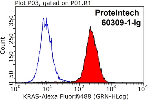 [60309-1-IG-20UL] pan Ras Monoclonal antibody